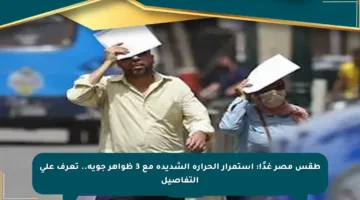 طقس مصر غدًا: استمرار الحرارة الشديدة مع 3 ظواهر جوية.. تعرف على التفاصيل